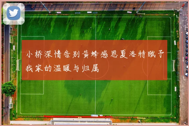 小桥深情告别黄蜂感恩夏洛特赋予我家的温暖与归属